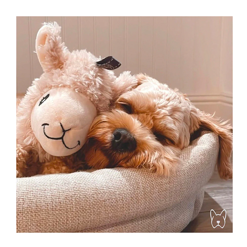 Agave Pet BestFriendForever Peluche Gioco Alpaca 33cm - Image 2