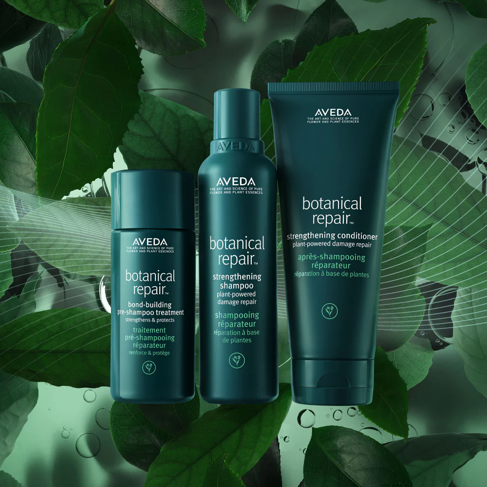 Aveda Botanical Repair Pre-Shampoo 150ml Shampoo 200ml Conditioner 200ml - Image 2