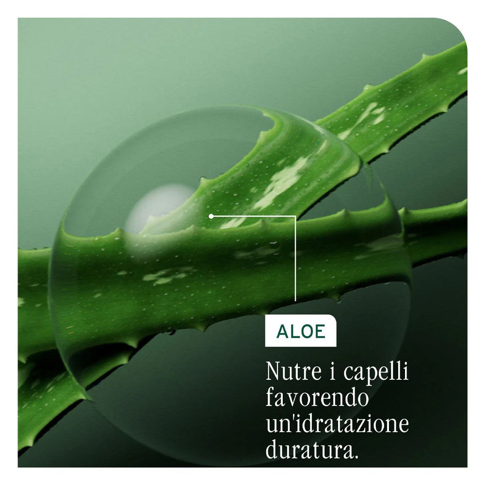 Biolage Professional Hair Spa Hydra Source Refill Shampoo 500ml - eco ricarica shampoo idratante - Image 4