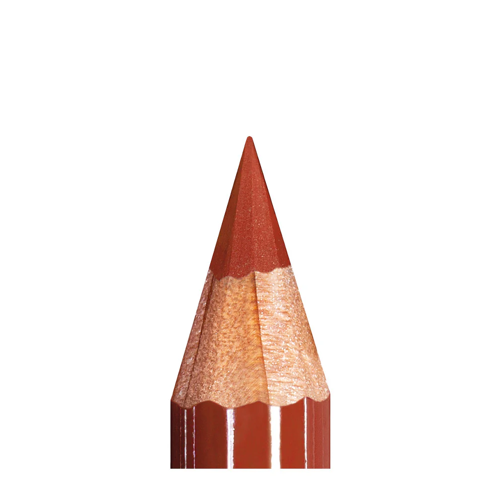 Mesauda Beauty Artist Lips Pumpkin 1.14gr - matita labbra - Image 4
