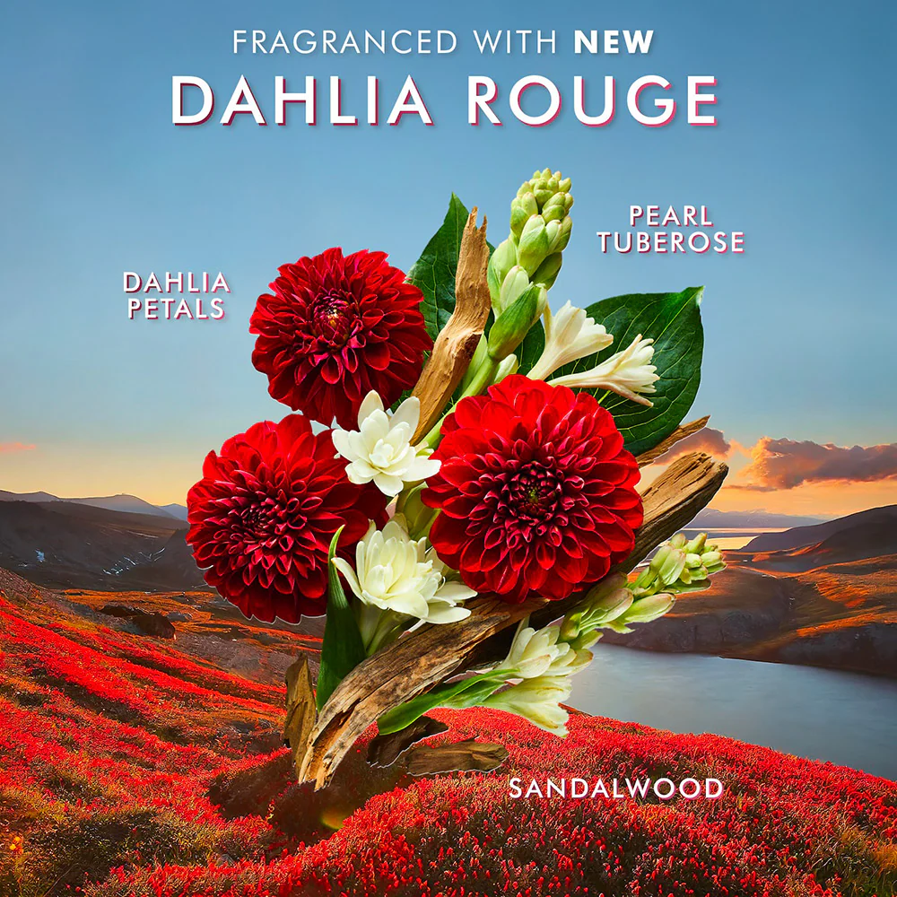 Moroccanoil Dahlia Rouge Hand Cream 40ml - crema mani - Image 3