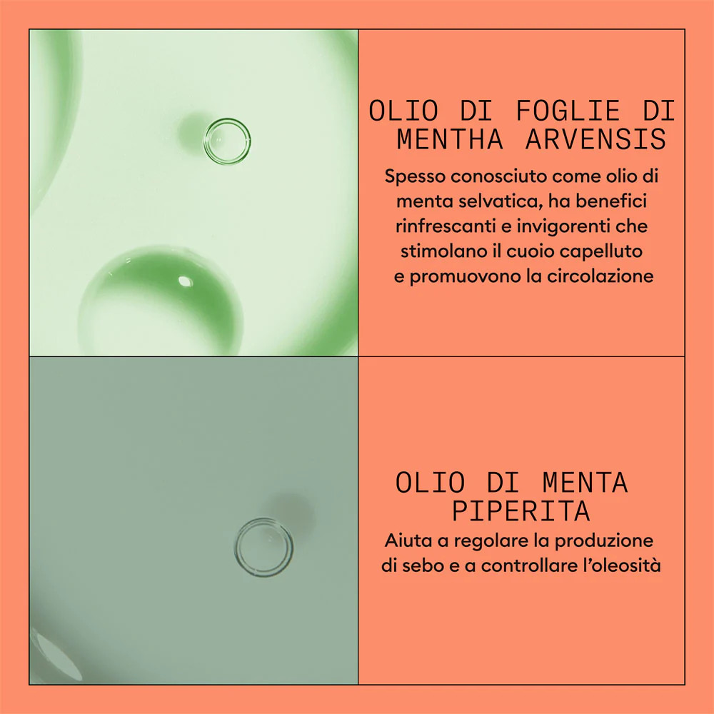 Nioxin Sistema 4 Scalp + Hair Conditioner 300ml  - balsamo anti assottigliamento avanzato - Image 6