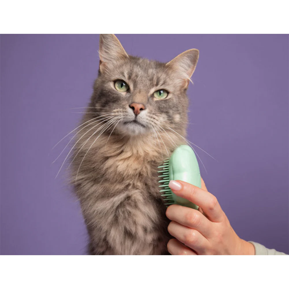 Pet Teezer Cat Brush Green - spazzola per gatti - Image 4
