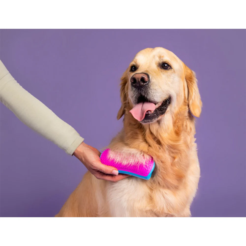 Pet Teezer De-Shedding Blue/Pink - spazzola per cani a pelo lungo - Image 4