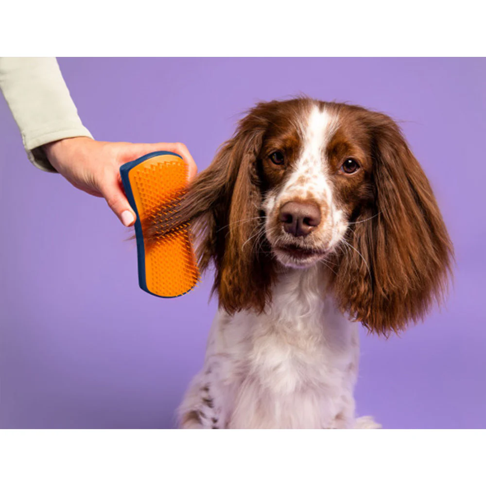 Pet Teezer Detangling Navy/Orange - spazzola districante per cani pelo corto e fino - Image 4