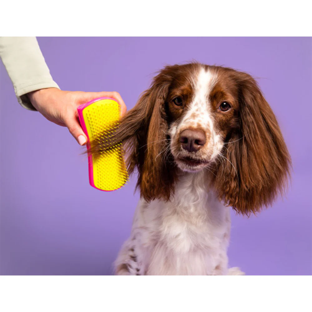 Pet Teezer Detangling Purple/Yellow - spazzola districante per cani pelo corto e fino - Image 4