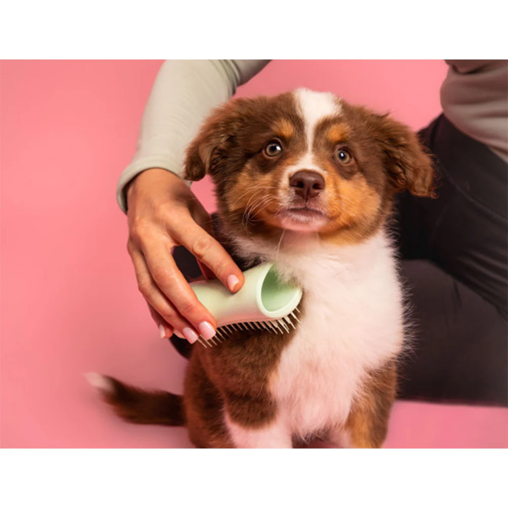 Pet Teezer Puppy Brush Green/Green - spazzola per cuccioli - Image 4