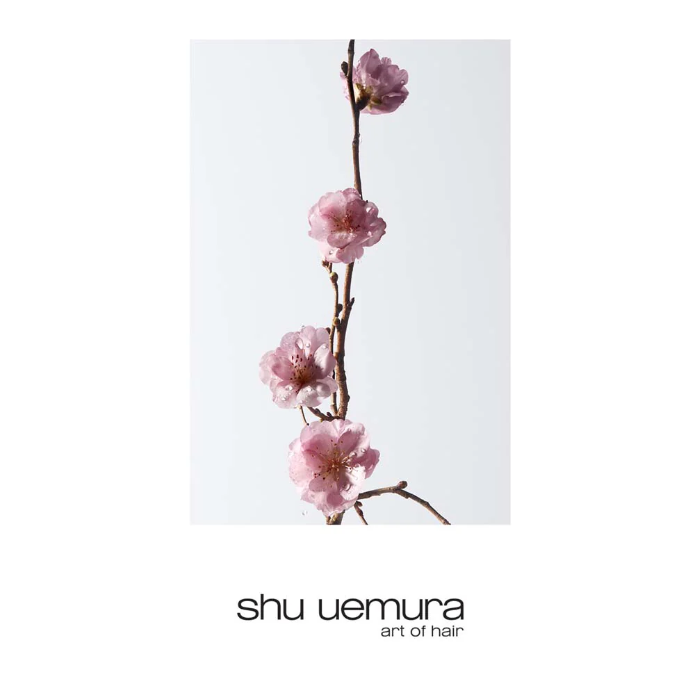 Shu Uemura Deep Cleansers Delicate Comfort Shampoo 400 ml - shampoo per capelli e cute secca - Image 2