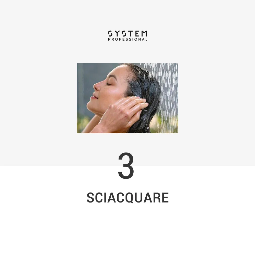 System Professional Basic Routine per Capelli Secchi - Image 4
