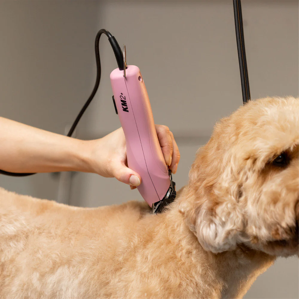 Wahl Pro Pet KM2+ - clipper a filo - Image 4